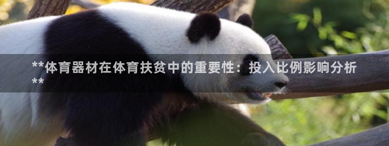 极悦平台注册资金多少钱：**体育器材在体育扶贫中的重