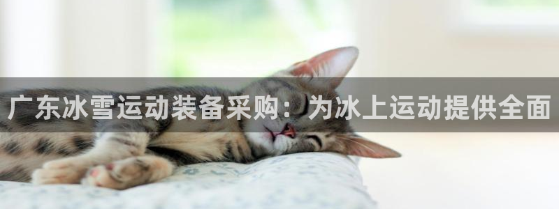 极悦娱乐百科百度：广东冰雪运动装备采购：为冰上运动提