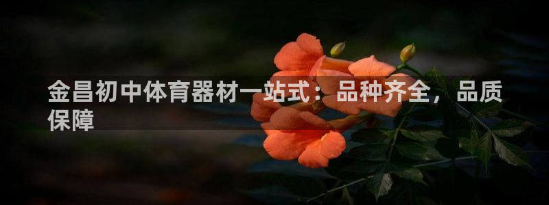 极悦平台方7O777：金昌初中体育器材一站式：品种齐