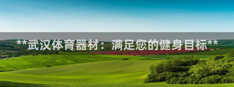 极悦注册：**武汉体育器材：满足您的健身目标**