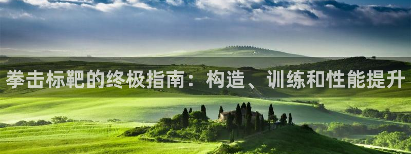 极悦娱乐官网入口网址：拳击标靶的终极指南：构造、训练