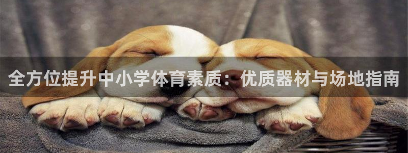 极悦娱乐官方网站：全方位提升中小学体育素质：优质器材