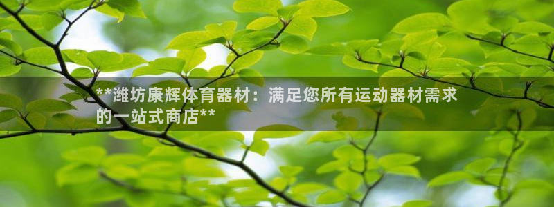 极悦娱乐游戏中心：**潍坊康辉体育器材：满足您所有运