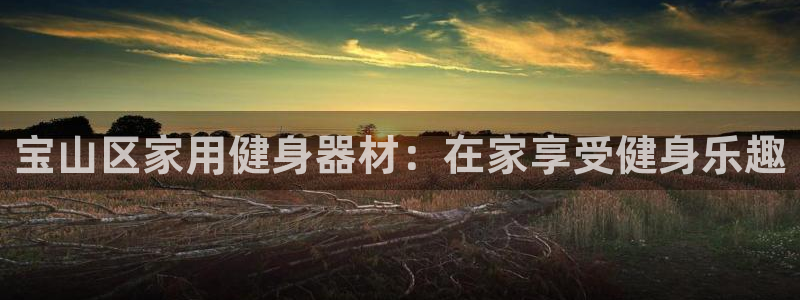 极悦平台官网登录网址是什么：宝山区家用健身器材：在家