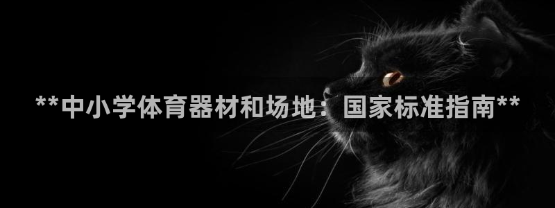 极悦平台发7O777：**中小学体育器材和场地：国家
