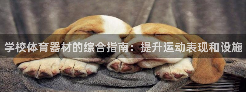 极悦娱乐官网客服联系方式是什么：学校体育器材的综合指南：提升