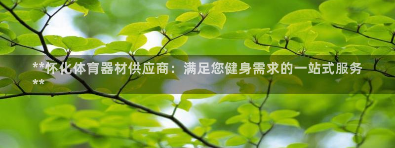极悦娱乐官网最新版本更新内容是什么：**怀化体育器材