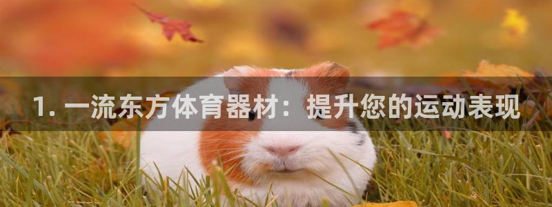 极悦平台注册申请流程详解图片：1. 一流东方体育器材
