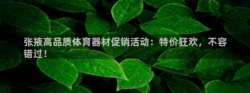 极悦娱乐的背景和历史背景分析：张掖高品质体育器材促销