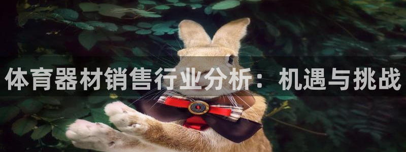 极悦牙膏怎么样好不好：体育器材销售行业分析：机遇与挑