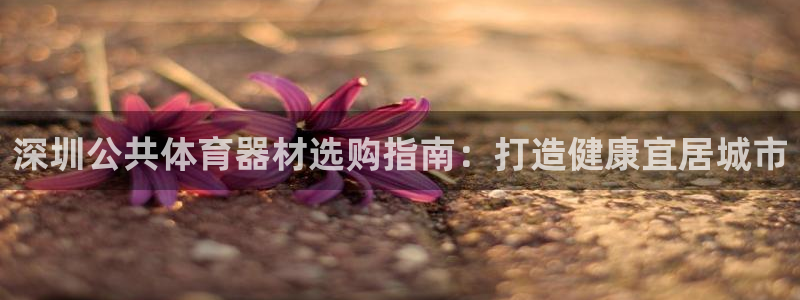 极悦平台平台登录入口：深圳公共体育器材选购指南：打造