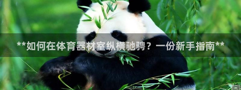 极悦平台创始人背景故事是什么：**如何在体育器材室纵