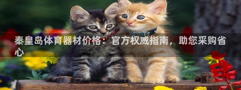 极悦平台股东是谁：秦皇岛体育器材价格：官方权威指南，