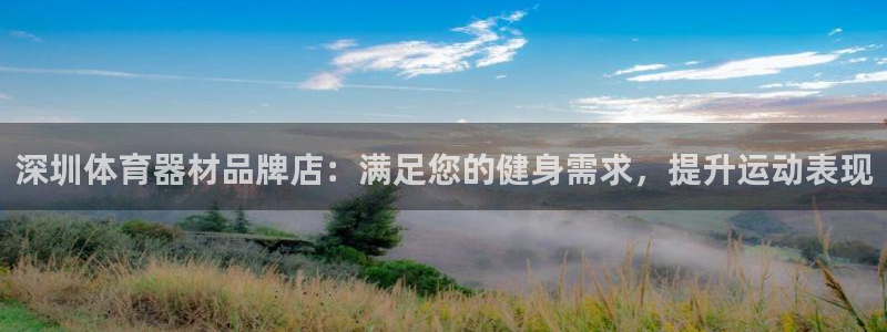 极悦平台是干什么的啊：深圳体育器材品牌店：满足您的健