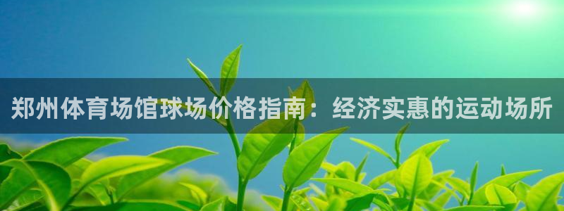 极悦娱乐app官方版本更新内容：郑州体育场馆球场价格