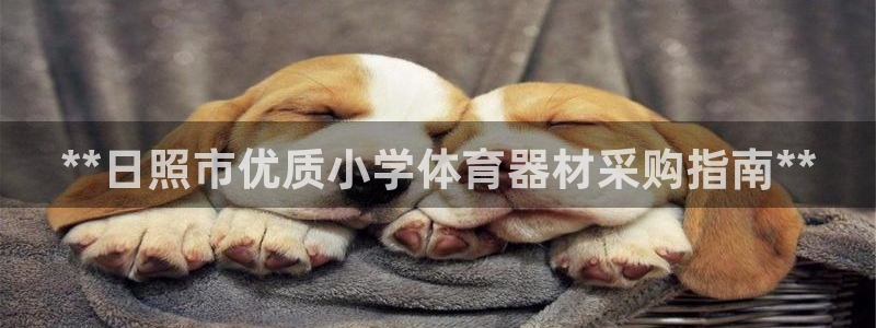 极悦平台决7O777：**日照市优质小学体育器材采购