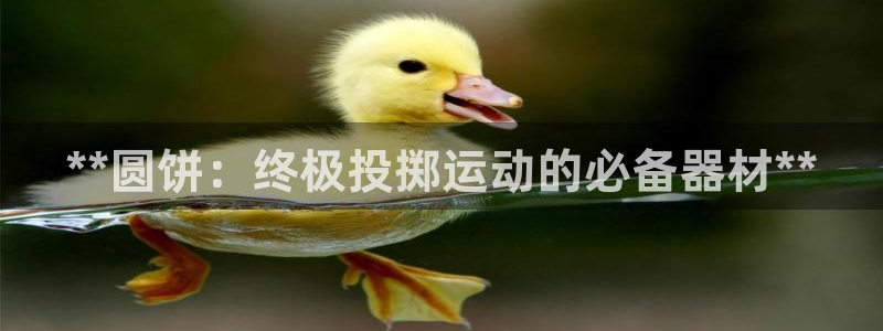 极悦平台官网登录不了怎么回事：**圆饼：终极投掷运动