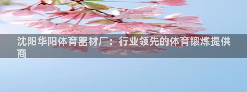 极悦娱乐下载官网安装：沈阳华阳体育器材厂：行业领先的