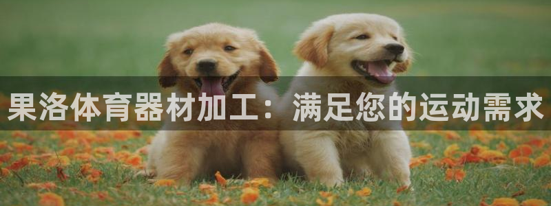 极悦平台注册用户名格式不正确：果洛体育器材加工：满足