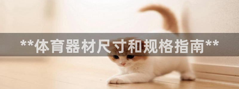 极悦平台代理怎么赚钱的：**体育器材尺寸和规格指南*