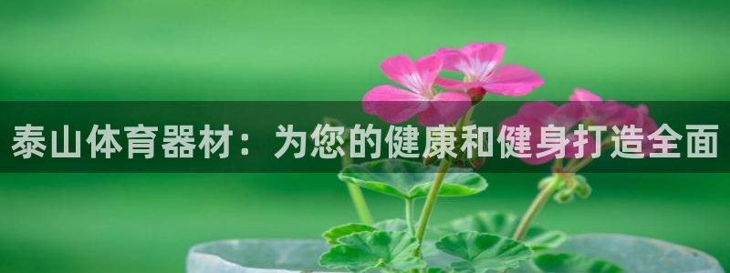 极悦娱乐成7O777：泰山体育器材：为您的健康和健身