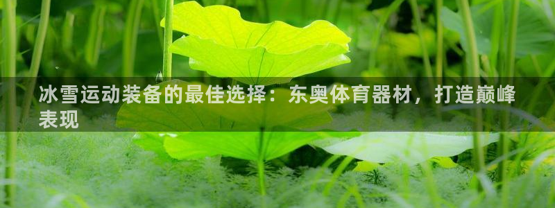 极悦平台平台注册方法与步骤是什么：冰雪运动装备的最佳