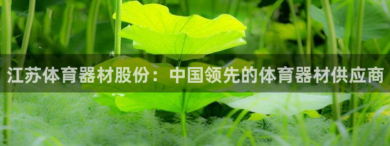 极悦平台客服的联系方式是：江苏体育器材股份：中国领先