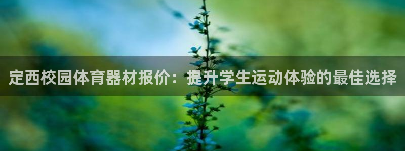 石家庄极悦空间设计有限公司：定西校园体育器材报价：提