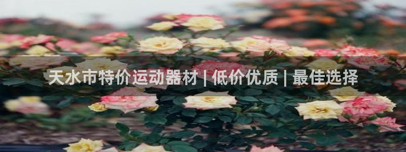 极悦平台官方网址：天水市特价运动器材 | 低价优质 