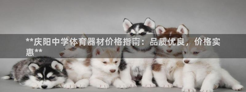 石家庄极悦空间设计有限公司：**庆阳中学体育器材价格