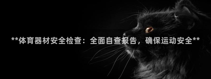 极悦平台使用教程图片：**体育器材安全检查：全面自查