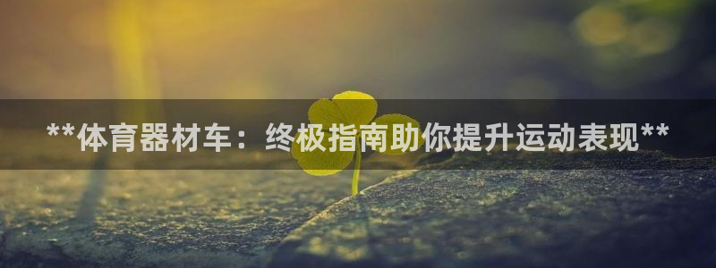 极悦牙膏好吗：**体育器材车：终极指南助你提升运动表