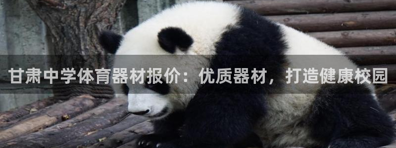 极悦平台是正规平台吗安全吗是真的吗：甘肃中学体育器材