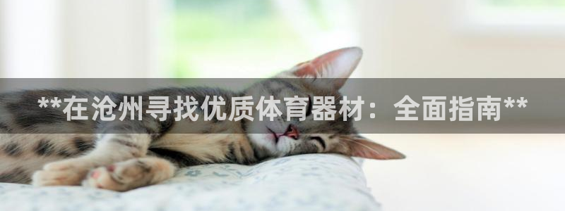 极悦平台官网登录网址：**在沧州寻找优质体育器材：全