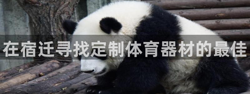 极悦平台官方网址查询：在宿迁寻找定制体育器材的最佳