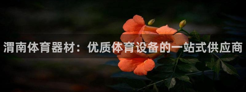 极悦平台股东名单：渭南体育器材：优质体育设备的一站式