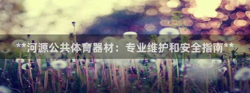 极悦娱乐官网app下载安装：**河源公共体育器材：专