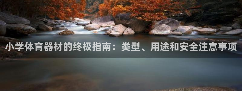 极悦平台是什么公司：小学体育器材的终极指南：类型、用