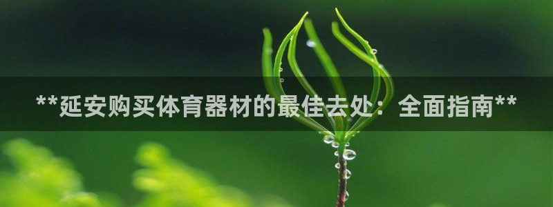极悦娱乐股东结构：**延安购买体育器材的最佳去处：全