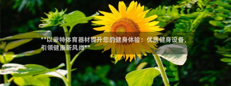 极悦娱乐下载官网安装