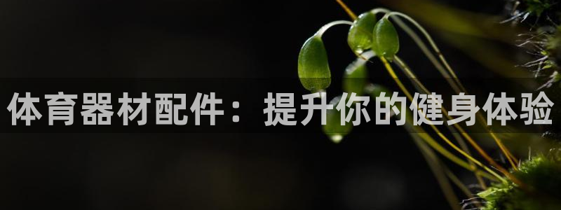 极悦平台用户评价在哪里看