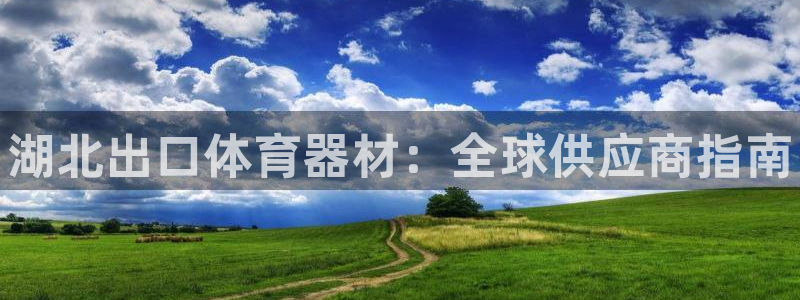 极悦注册：湖北出口体育器材：全球供应商指南