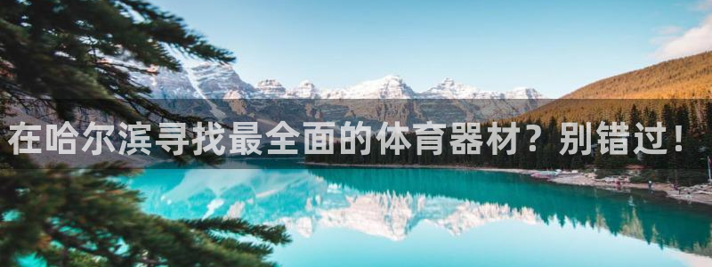 极悦平台注册失败如何解决问题：在哈尔滨寻找最全面的体