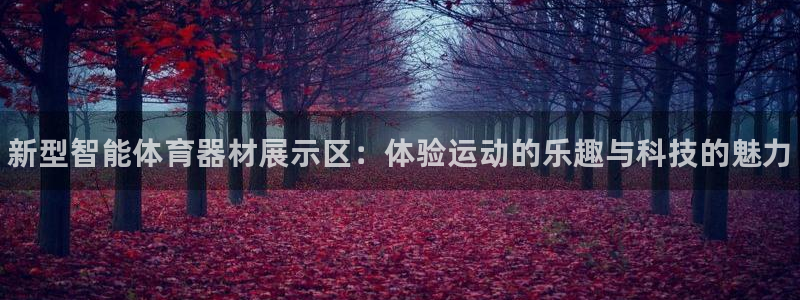 极悦平台注册：新型智能体育器材展示区：体验运动的乐趣