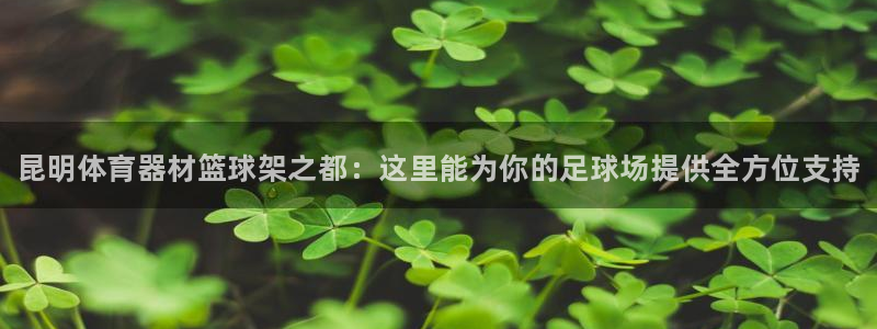 极悦平台登录入口注册：昆明体育器材篮球架之都：这里能为你的足
