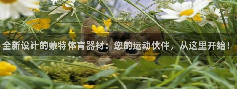 极悦平台代理怎么样：全新设计的蒙特体育器材：您的运动