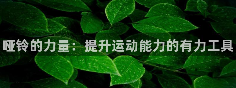 极悦官方网站