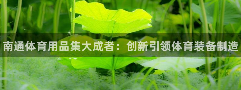 极悦官网入口登录