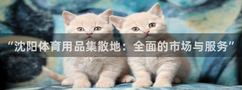 极悦平台是正规平台吗是真的吗