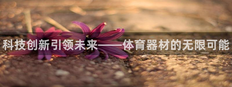 极悦平台注册用户名格式：科技创新引领未来——体育器材的无限可